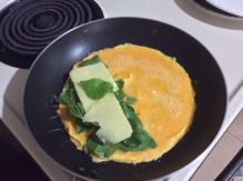 Primed for your Life Refried Omelette6