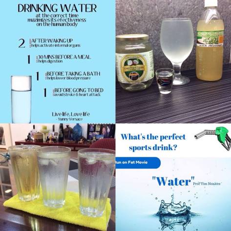 Optimal Primed Protocols water1